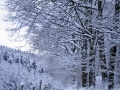 Herkingrade-Winter04