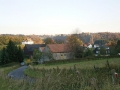 Niederdahl03