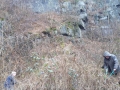 20170228_142849