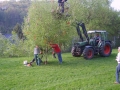 S8003333.JPG