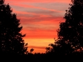 Image00014